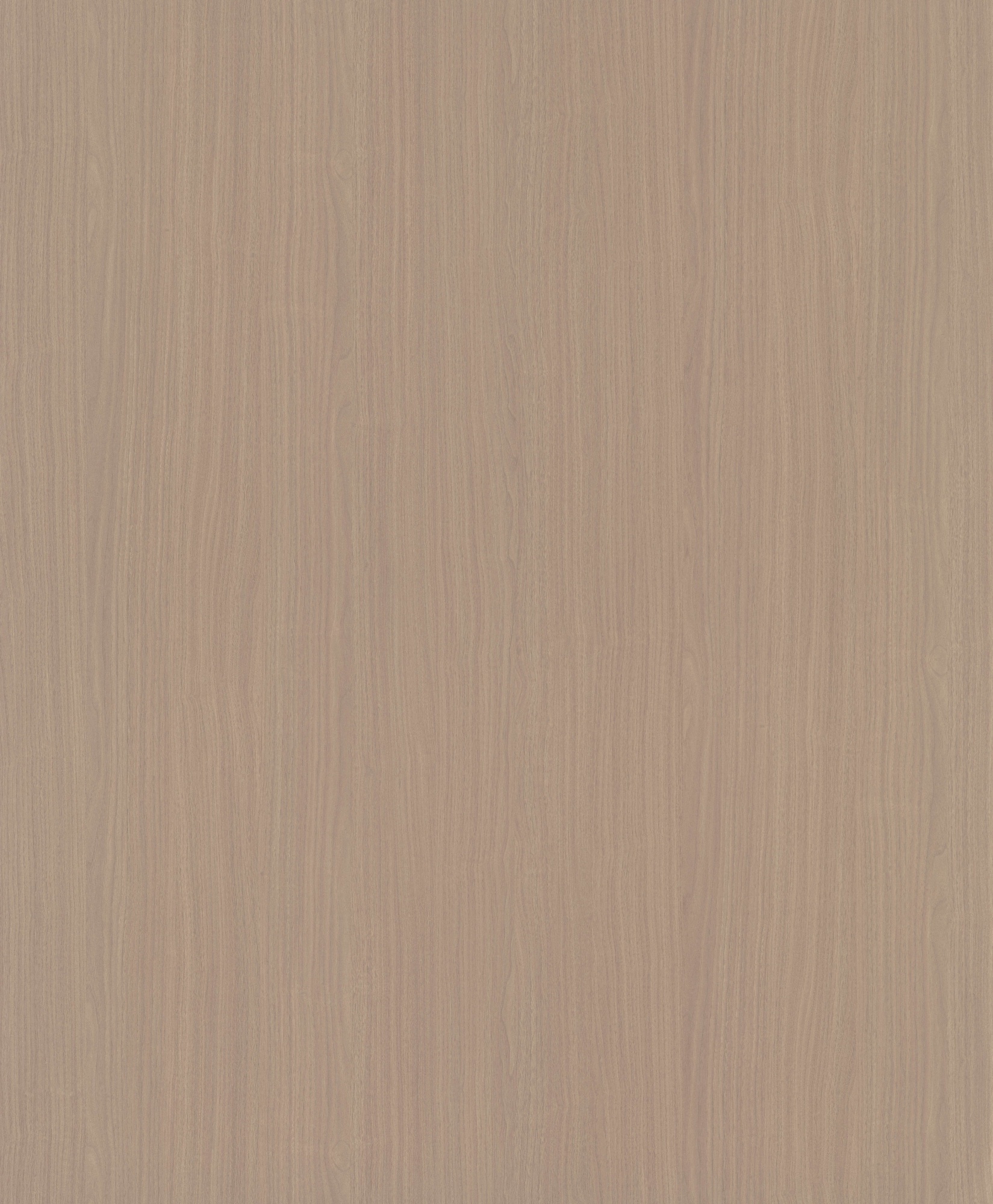 Guyu Walnut SM8199
