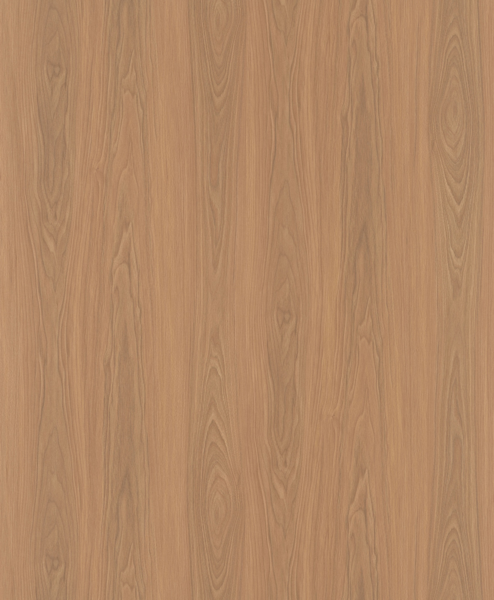 Mountain-Echoed Natural Walnut SM8117