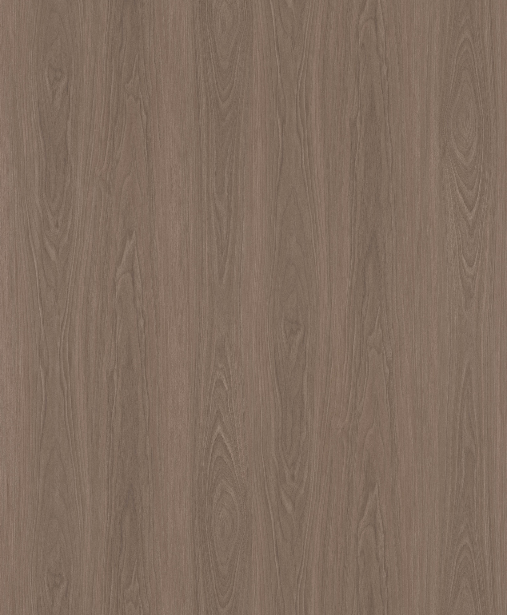 Mountain-Echoed Natural Walnut SM8117