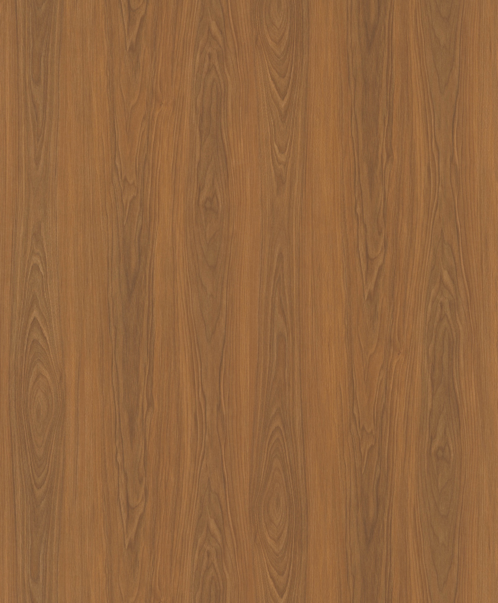 Mountain-Echoed Natural Walnut SM8117