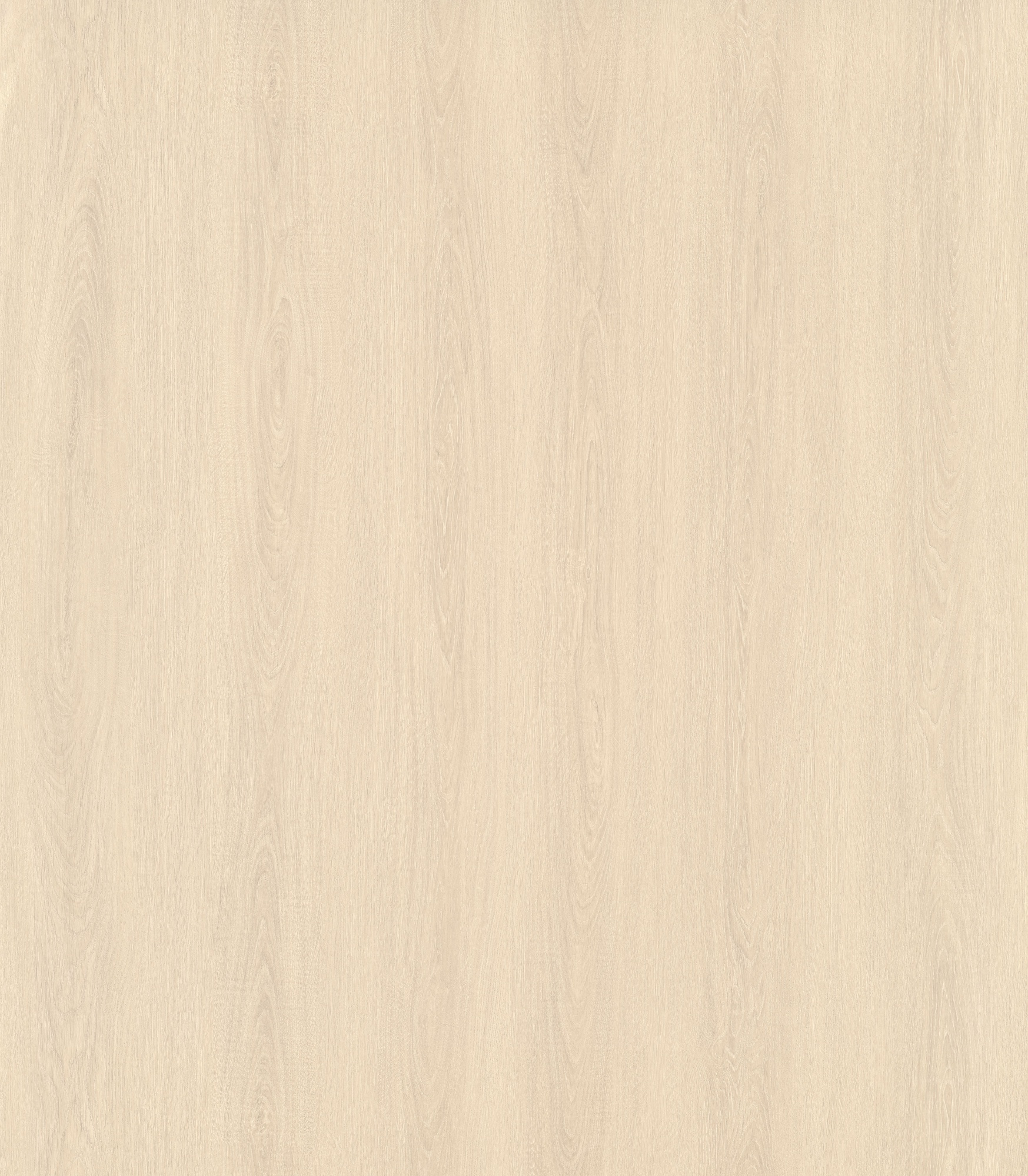 Elegant Oak SM8230