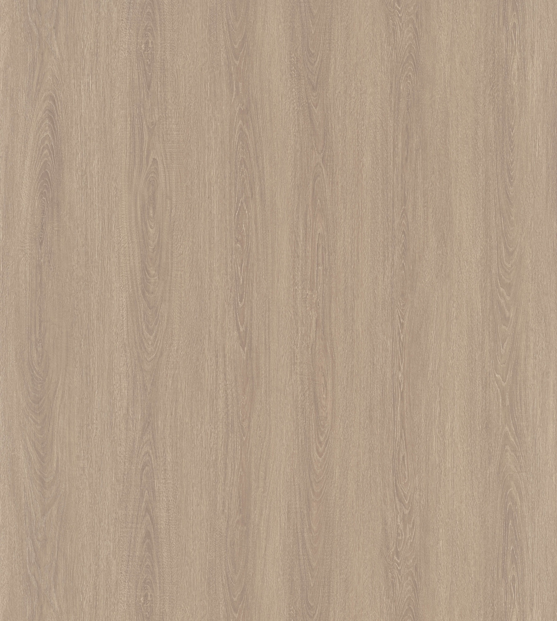 Elegant Oak SM8230