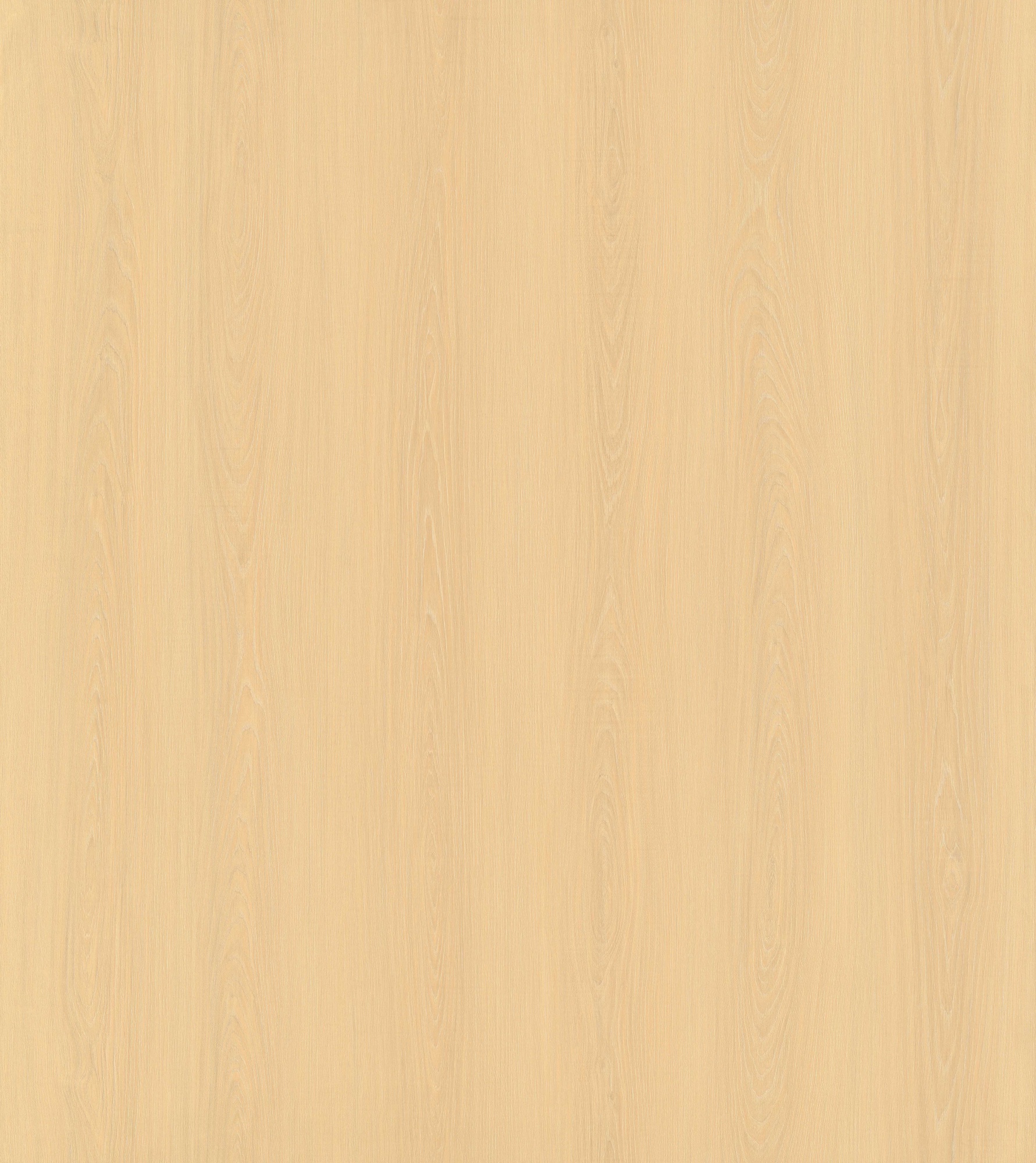 Carved Oak SM8227