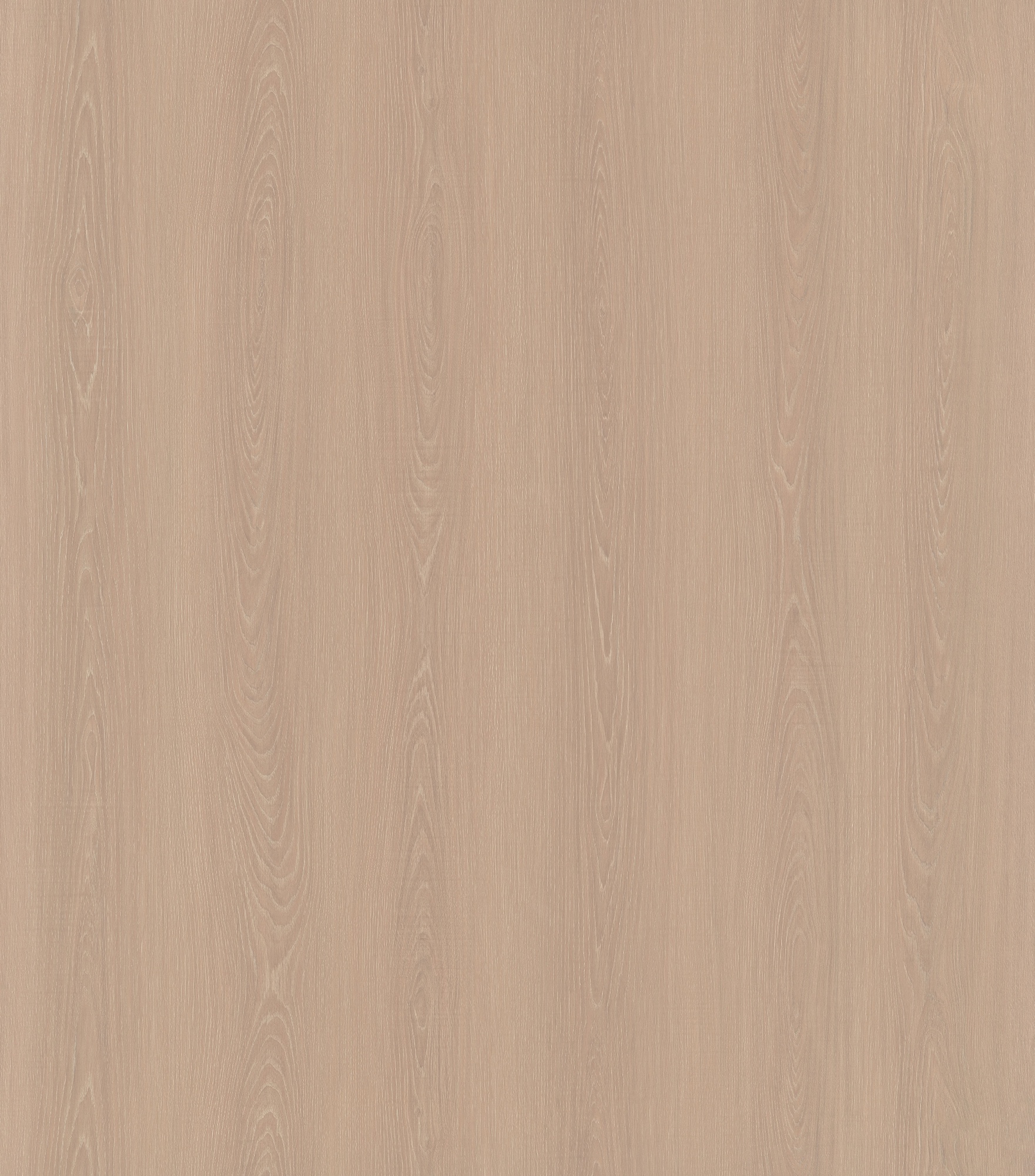 Carved Oak SM8227