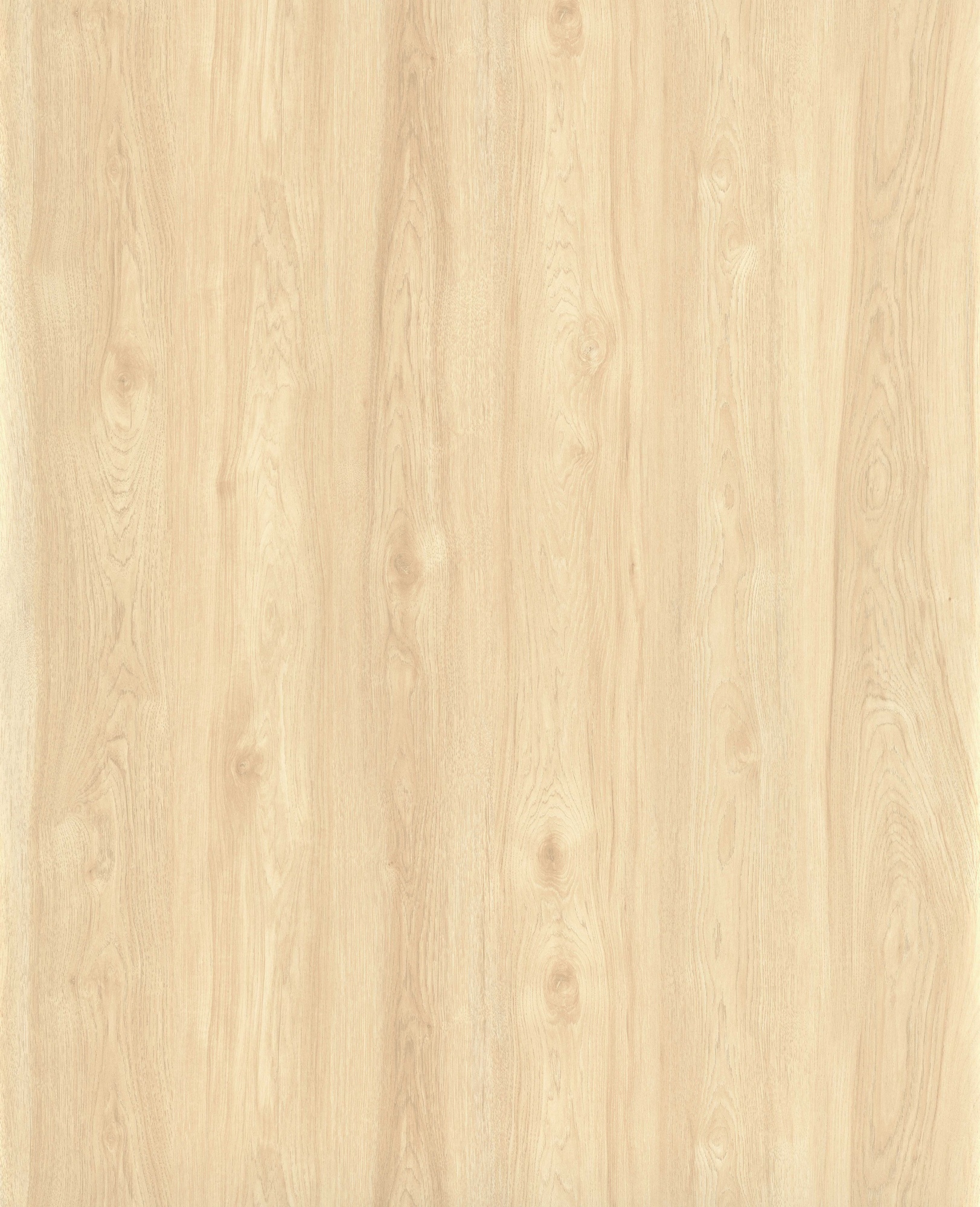 Graceful Hickory SM8279