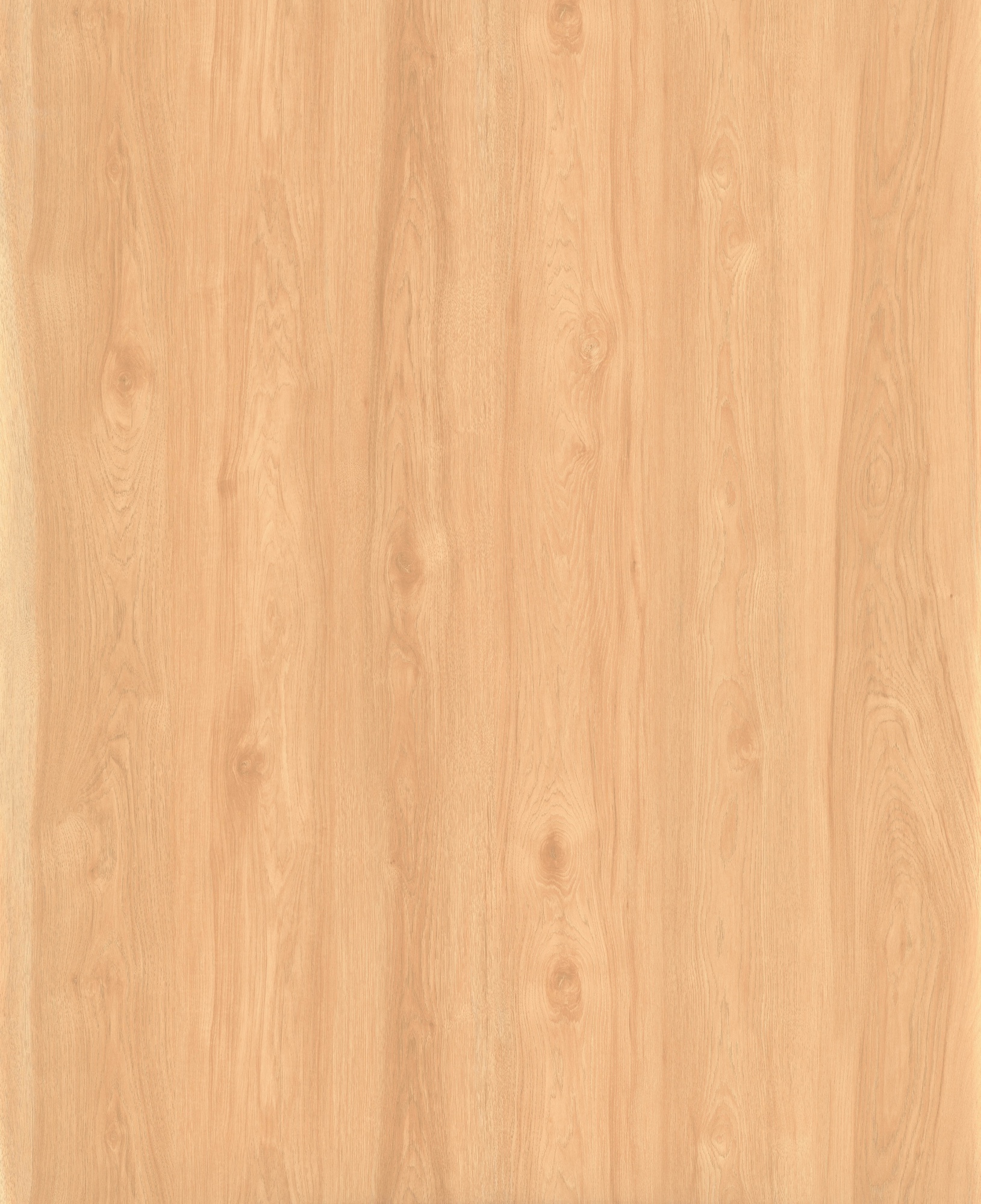 Graceful Hickory SM8279