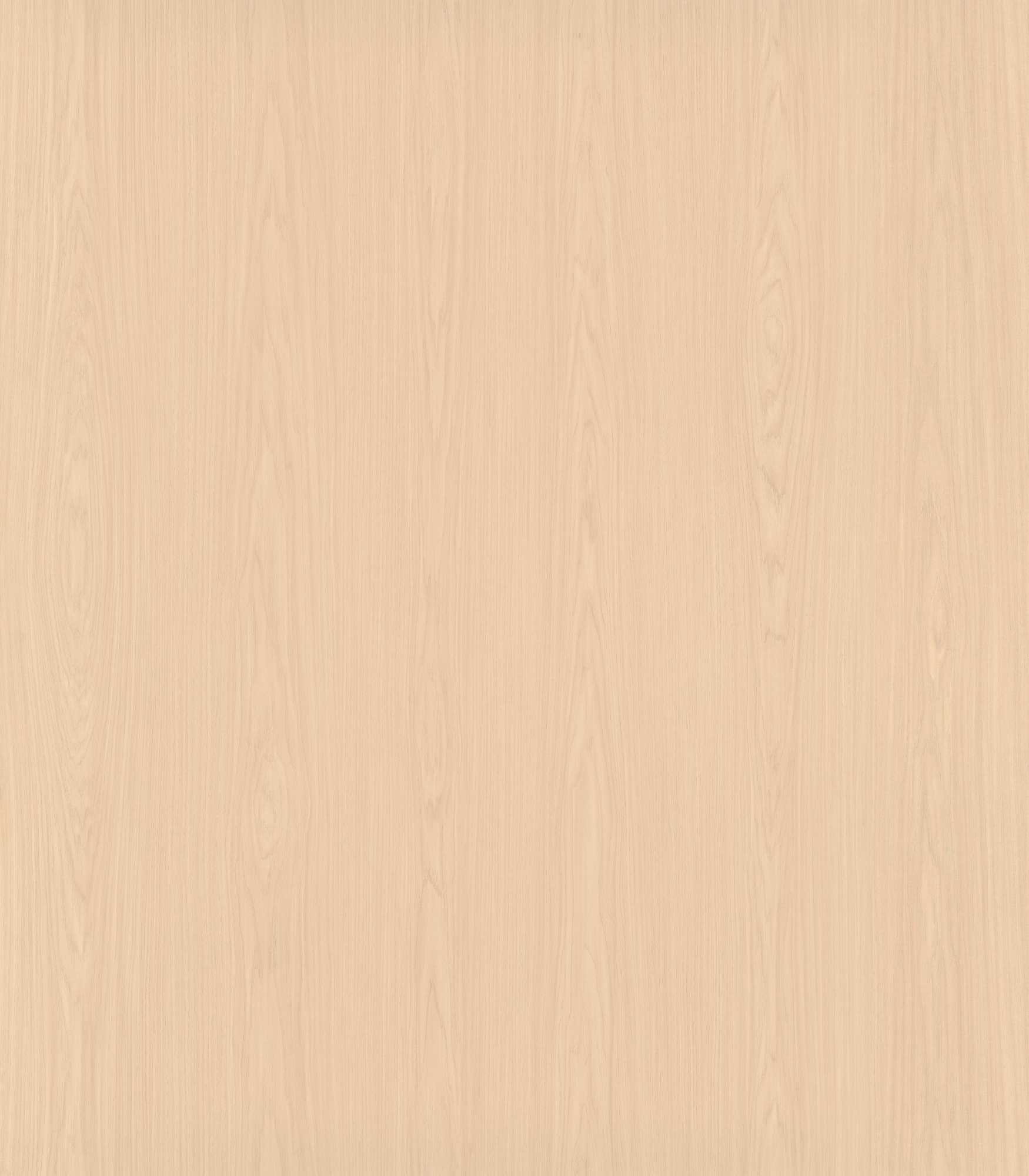Silver-Light Loveshadow Hickory SM8248