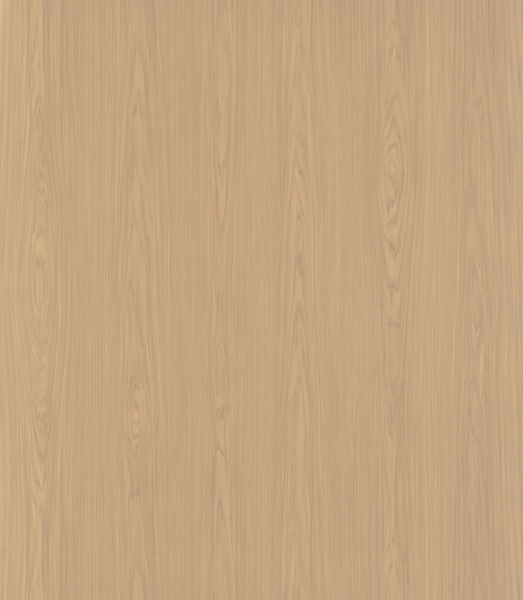 Silver-Light Loveshadow Hickory SM8248