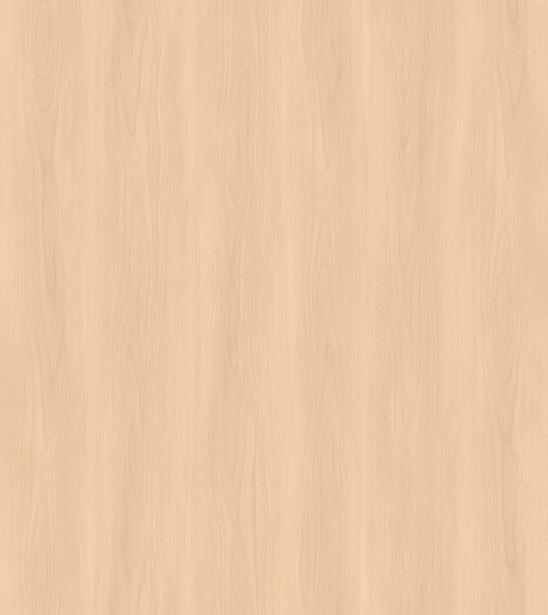 Misty Enigma Elm SM8277