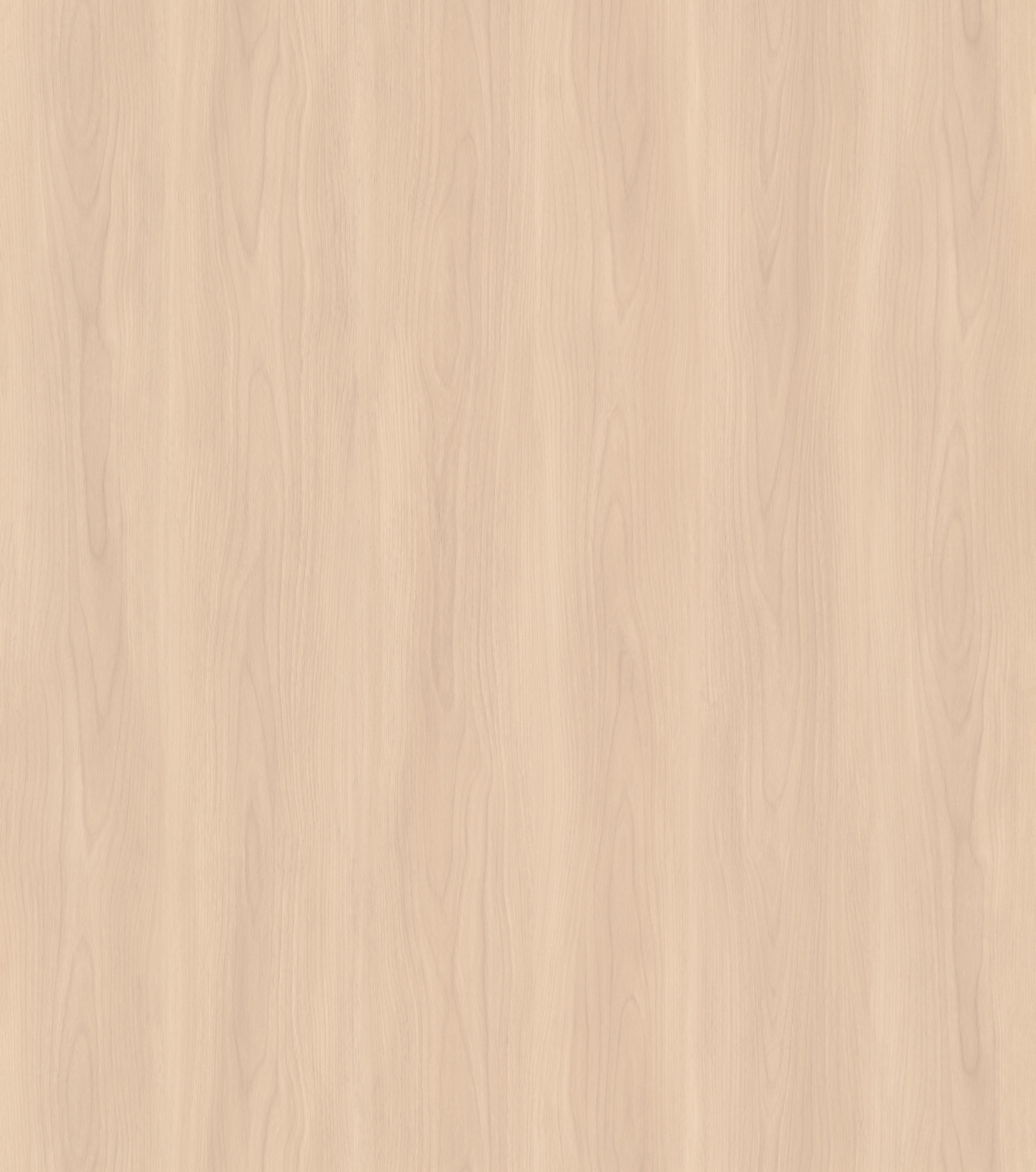 Misty Enigma Elm SM8277