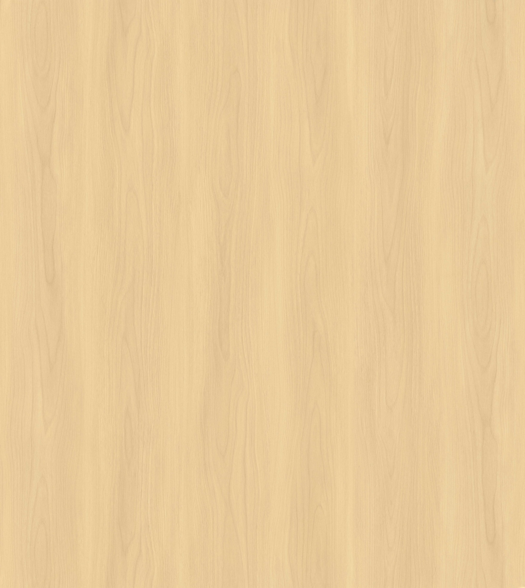 Misty Enigma Elm SM8277