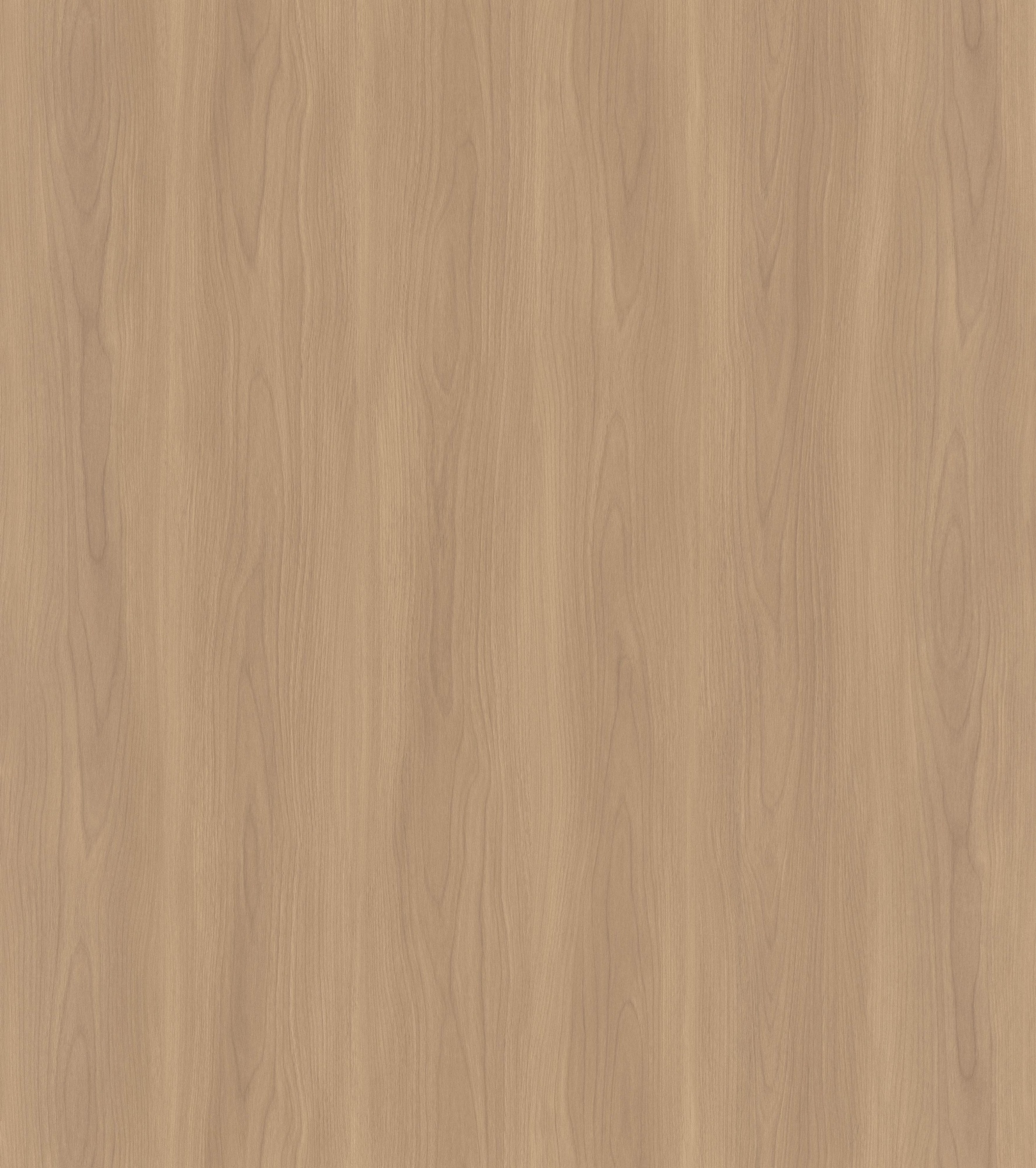 Misty Enigma Elm SM8277