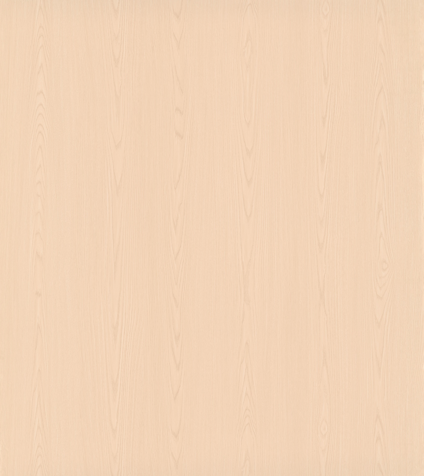 Moonlit Elm SM8246