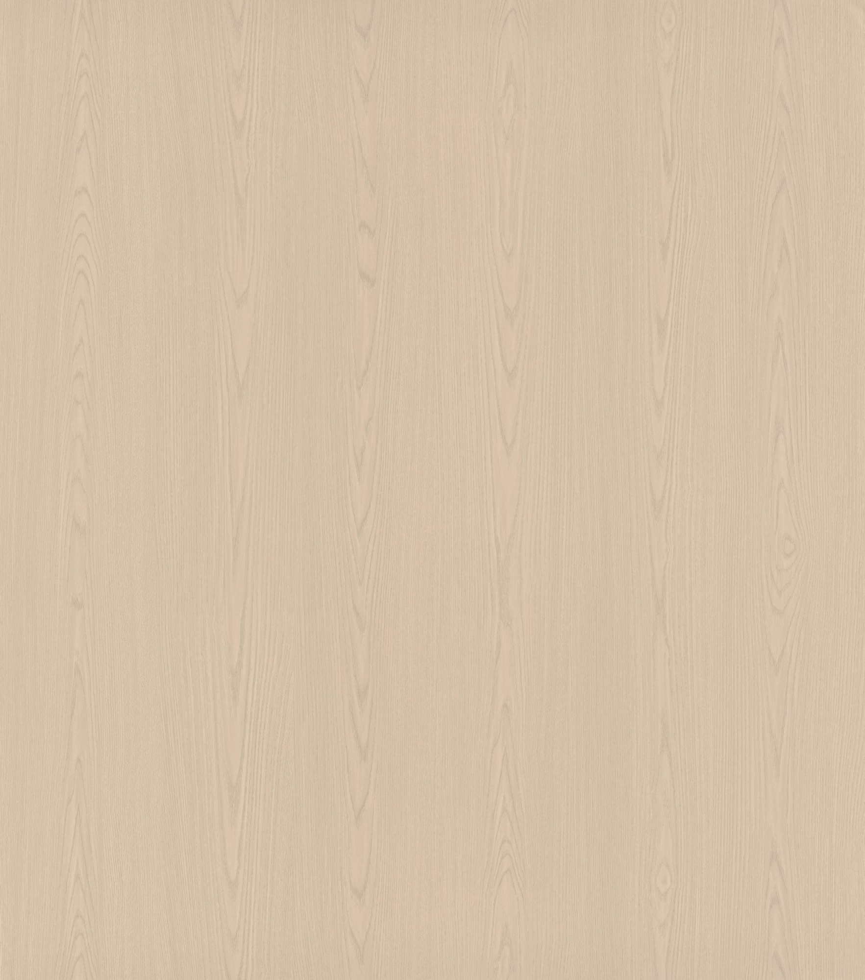 Moonlit Elm SM8246