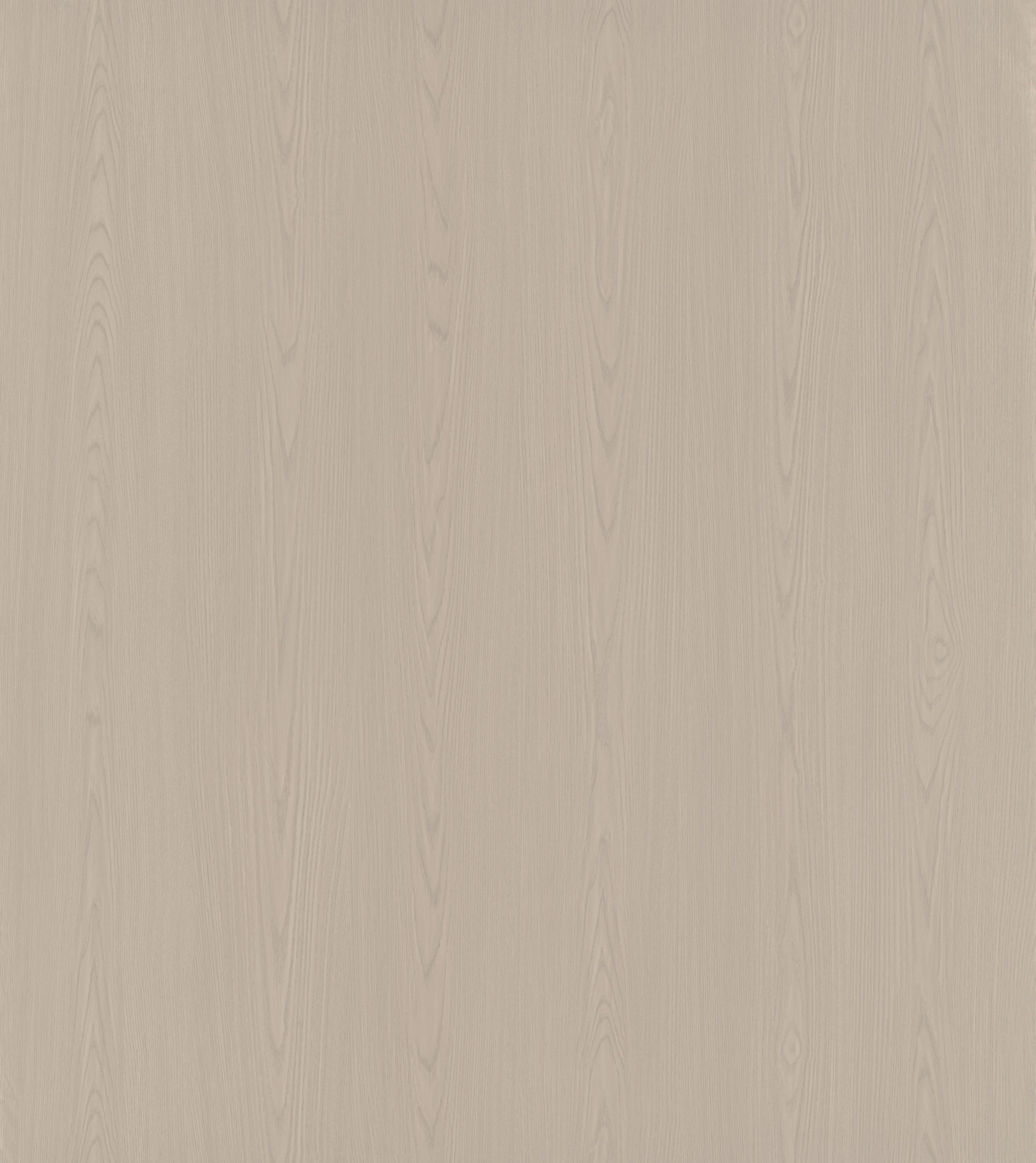 Moonlit Elm SM8246