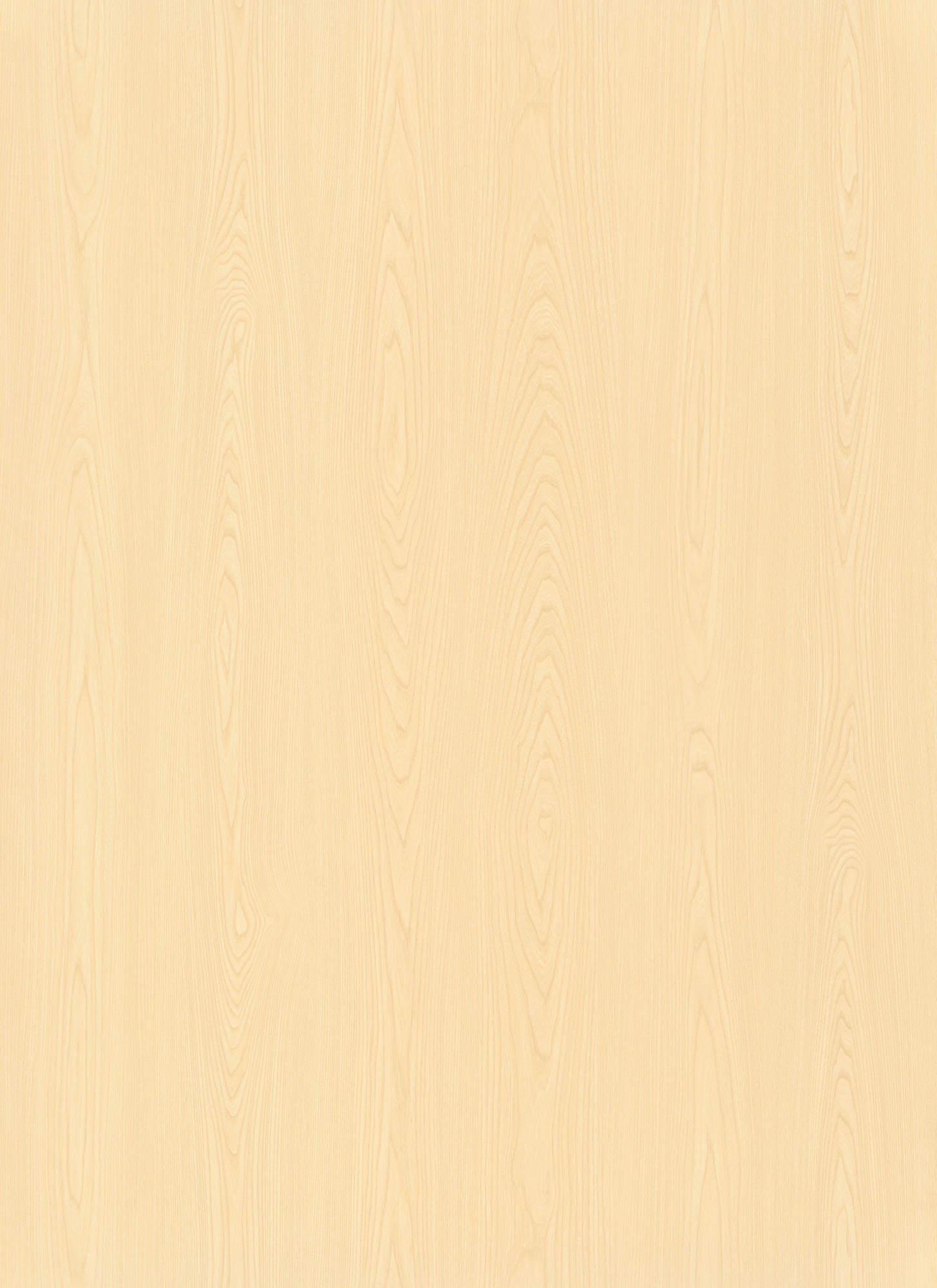 Breezy Elm SM8243