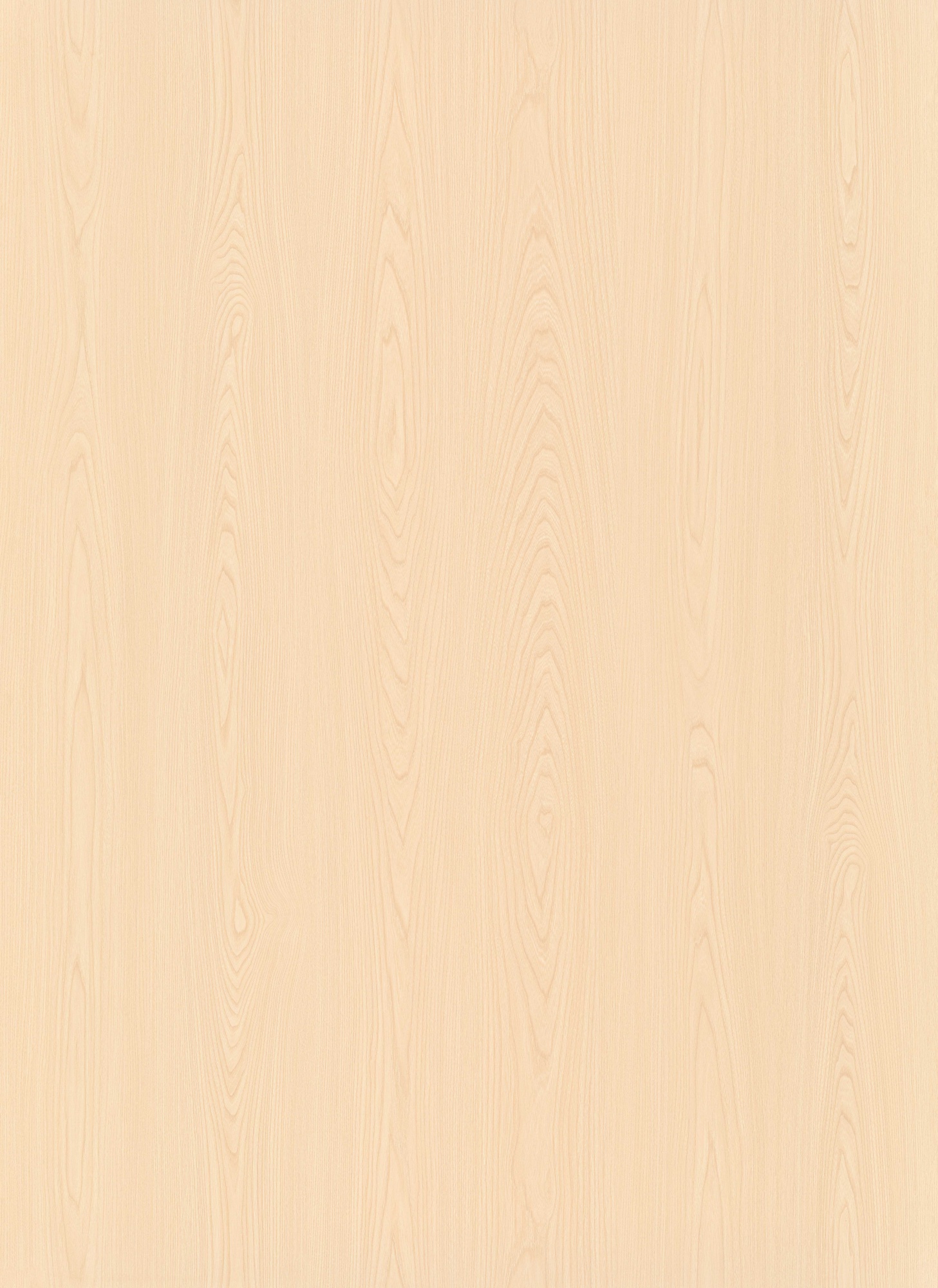 Breezy Elm SM8243
