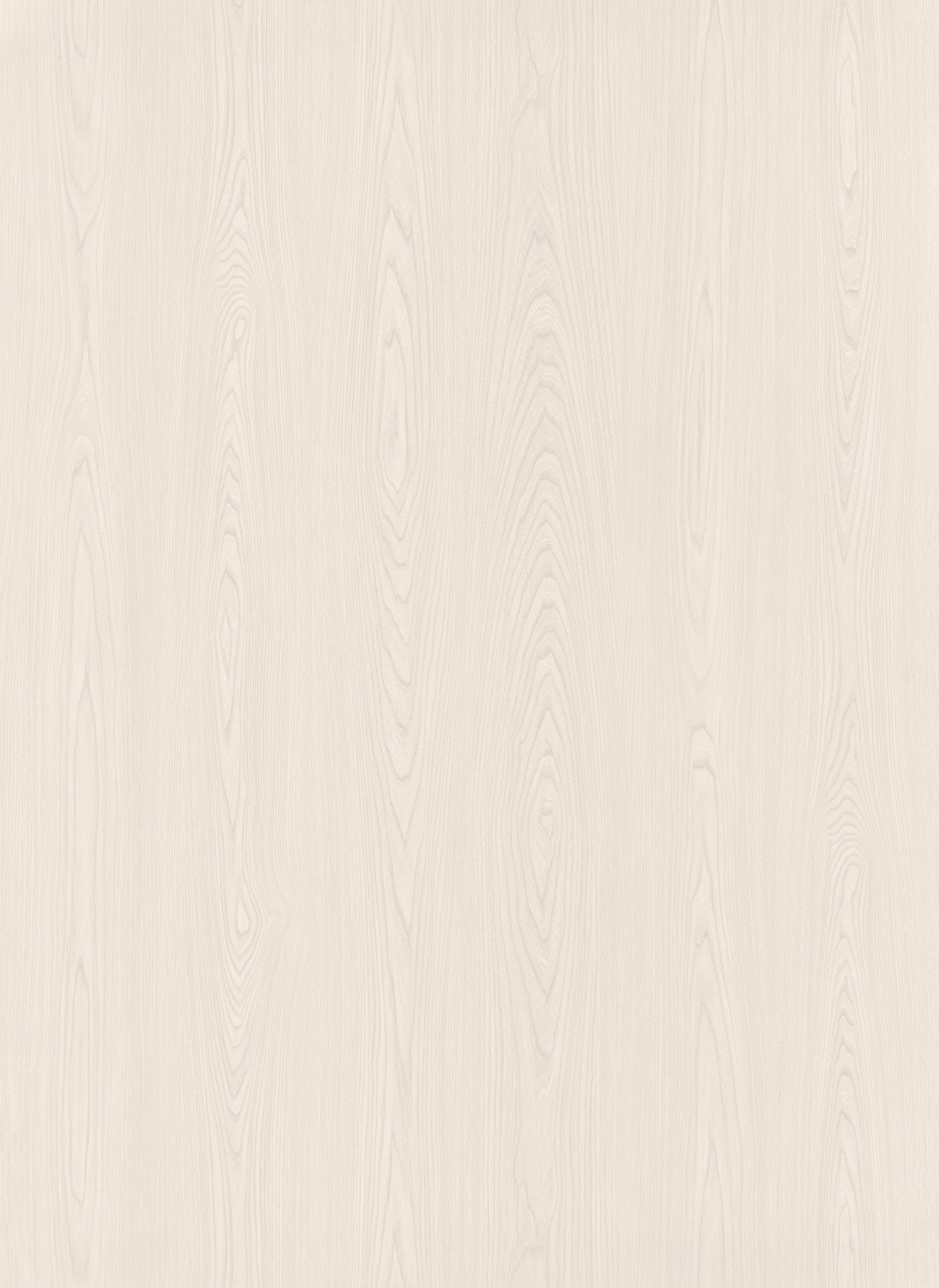 Breezy Elm SM8243