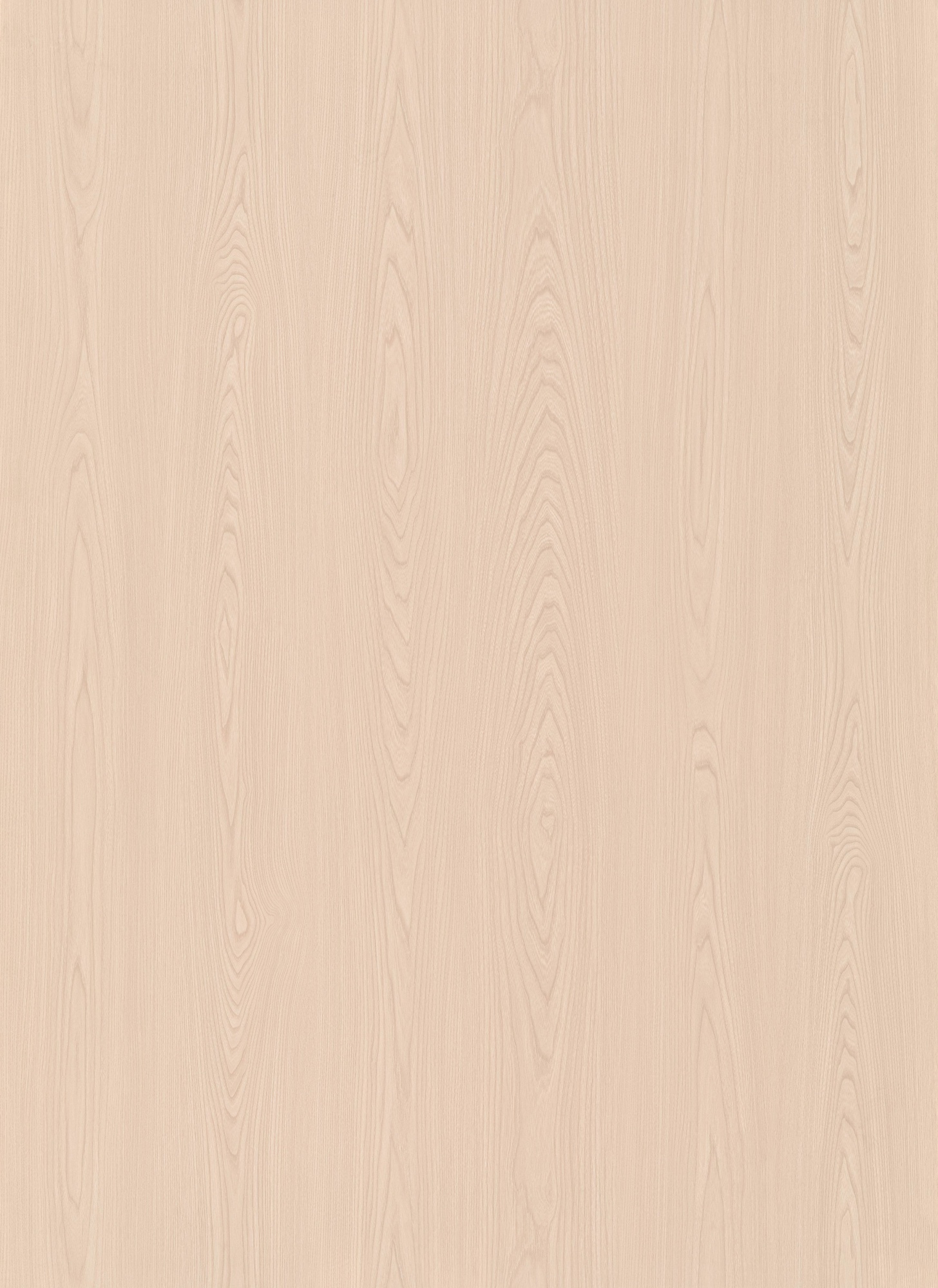Breezy Elm SM8243
