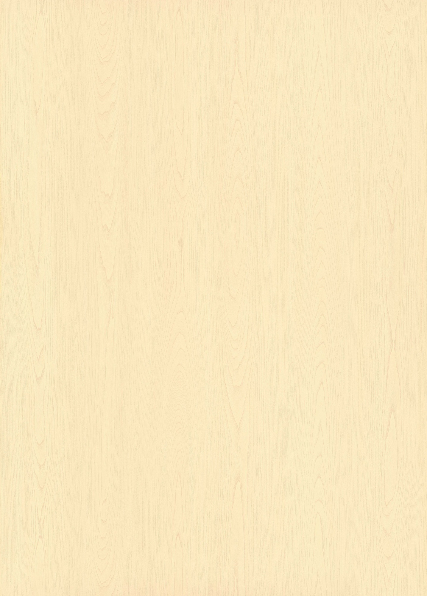 Moonlit Elm SM8239