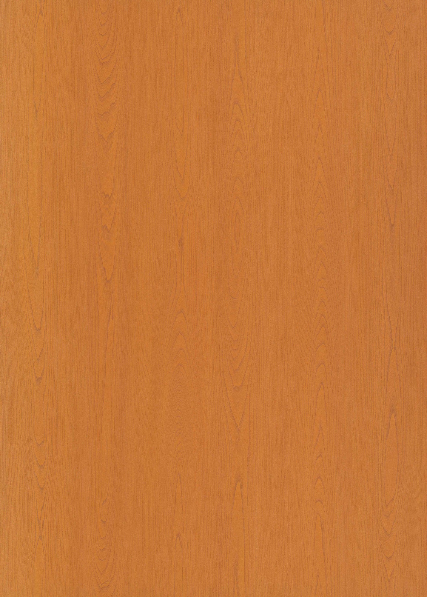 Moonlit Elm SM8239