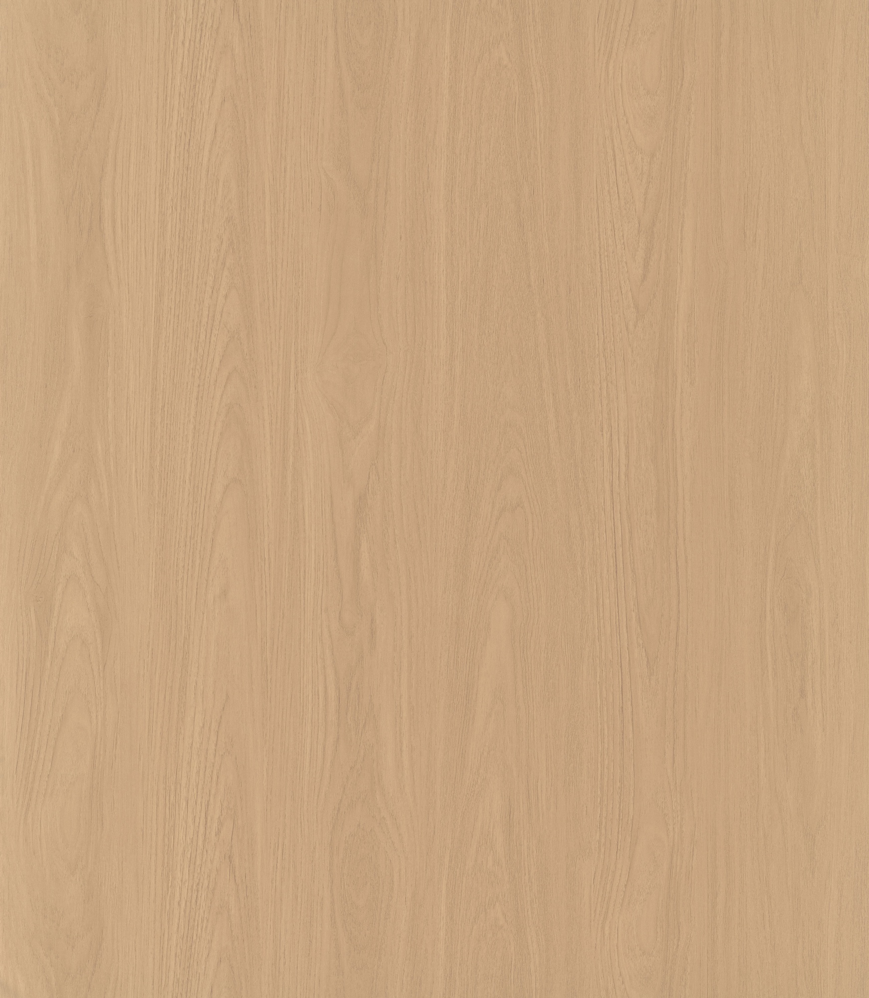 Mountainous Teak SM8210