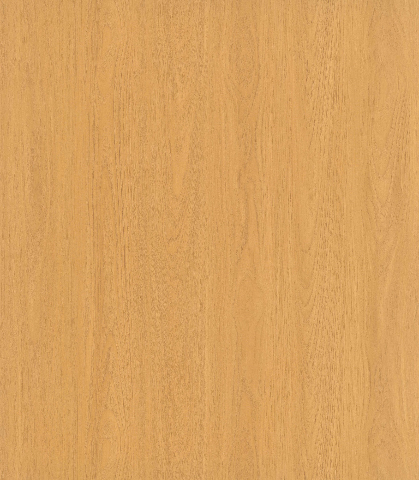 Mountainous Teak SM8210