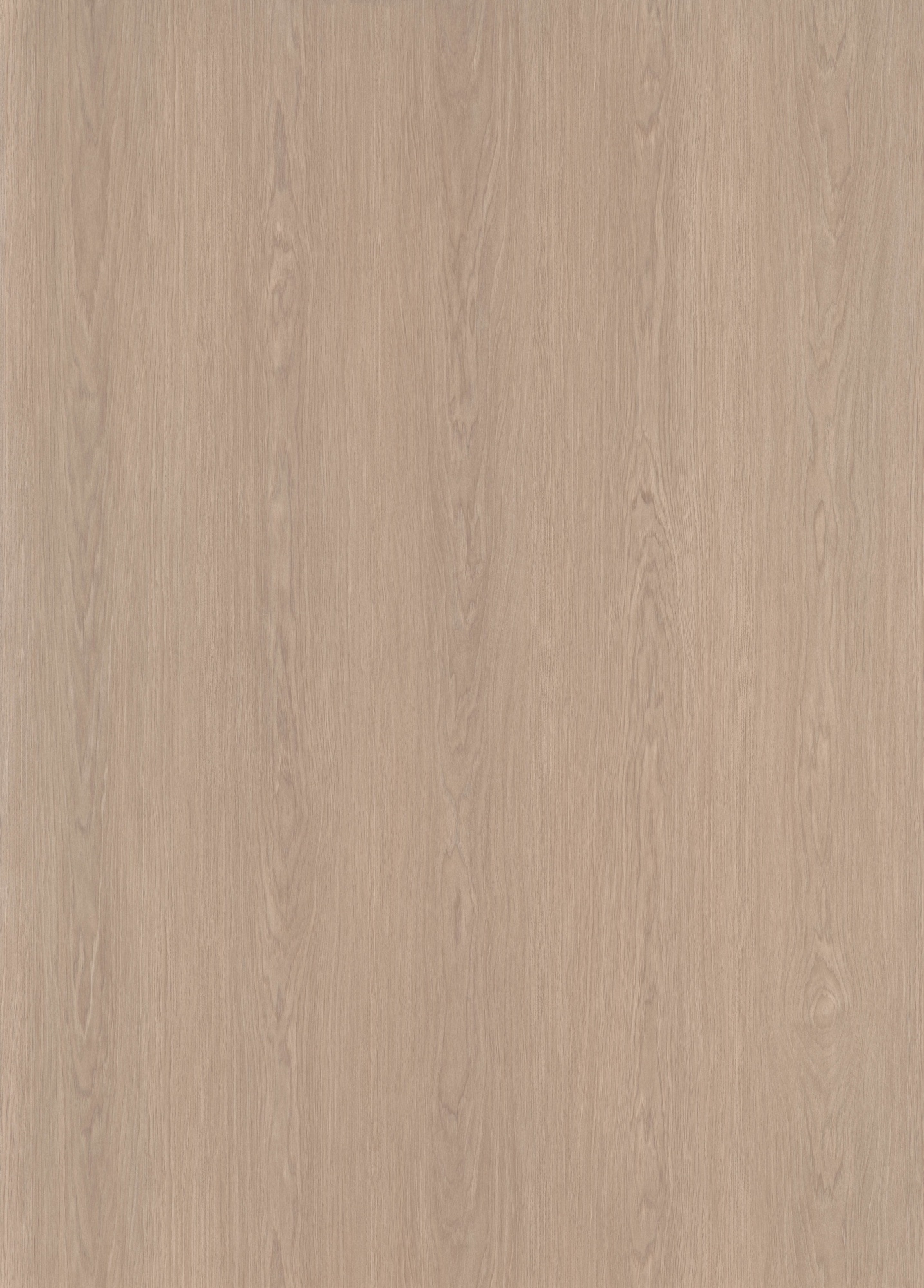 Tranquil Walnut SM8253